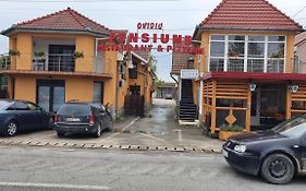 Pensiune Restaurant Ovidiu